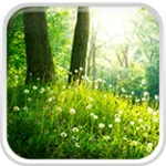 Logo of Forest Live Wallpaper android Application 